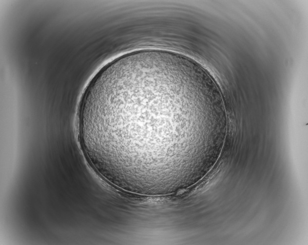 X0000093411531200710260927