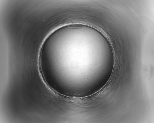 X0000093411536200710260927