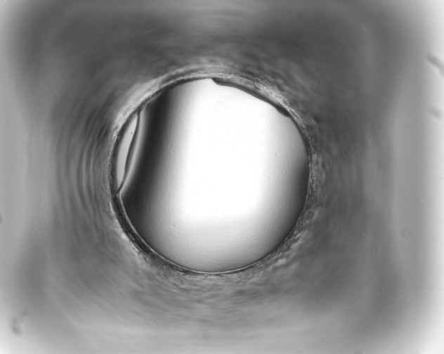 X0000093410007200711021004