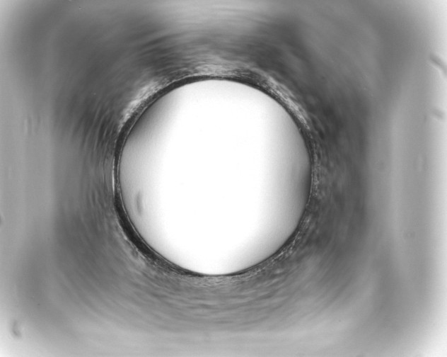 X0000093410011200711021004