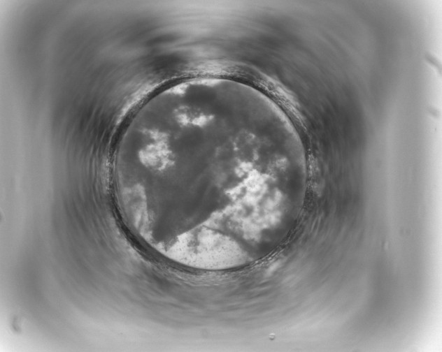 X0000093410012200711021004