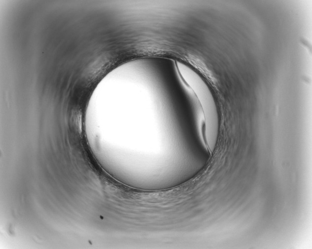 X0000093410021200711021004