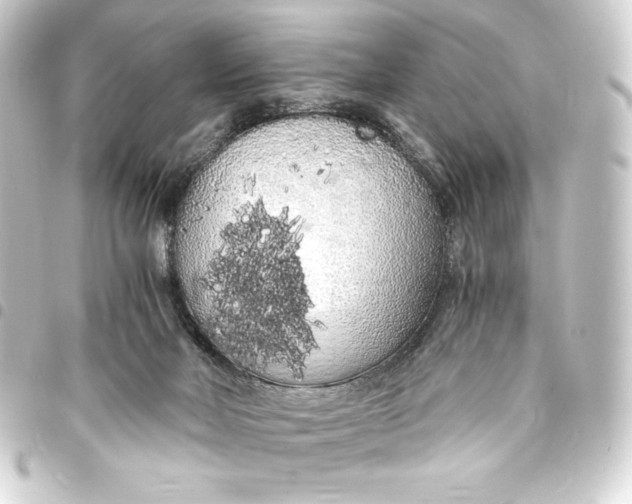 X0000093410026200711021004