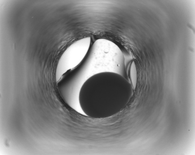 X0000093410039200711021004