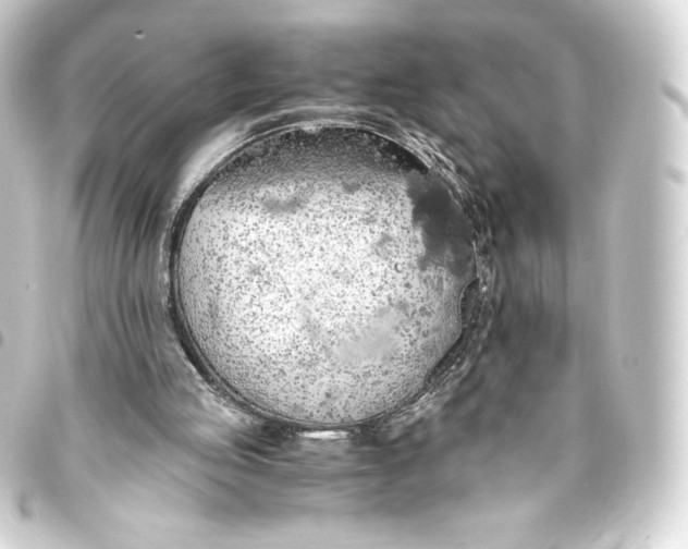 X0000093410053200711021003