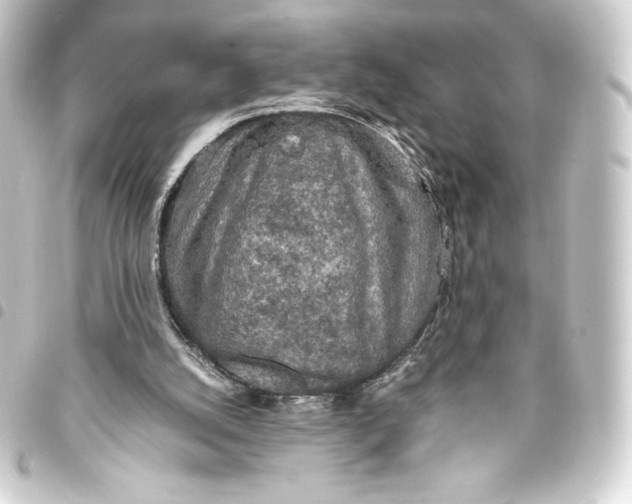 X0000093410056200711021003