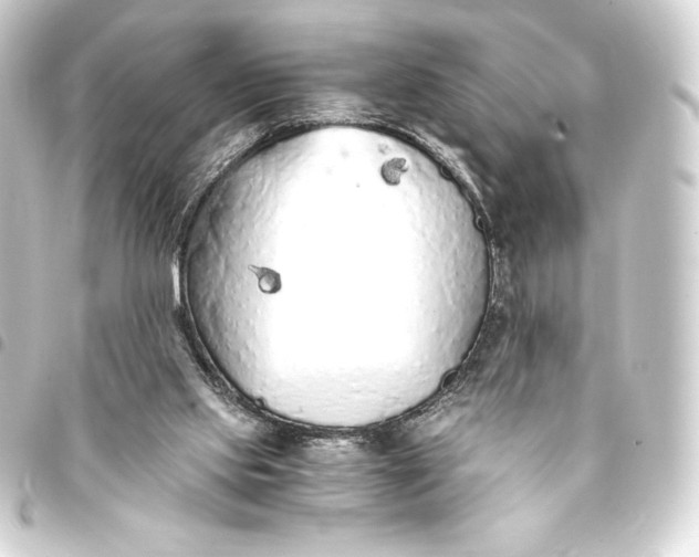 X0000093410061200711021003