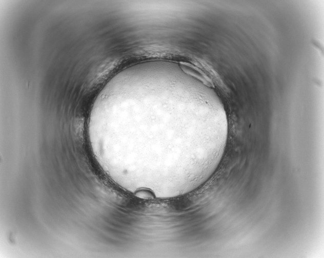 X0000093410066200711021003