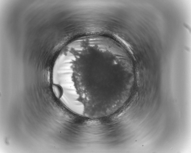 X0000093410067200711021003