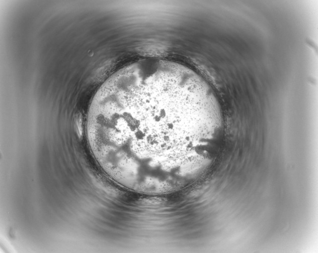 X0000093410069200711021003