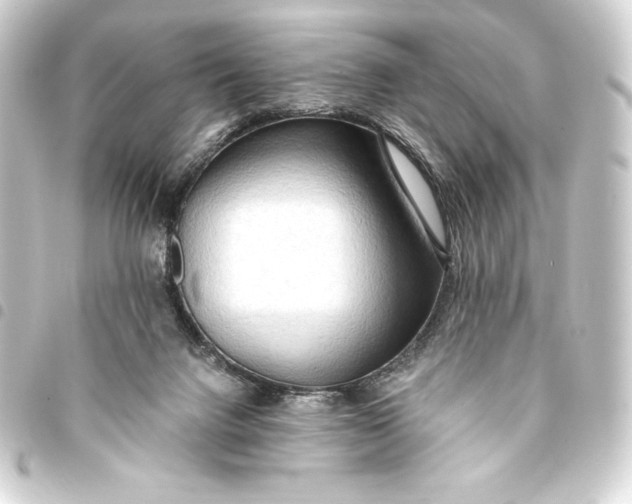 X0000093410072200711021003