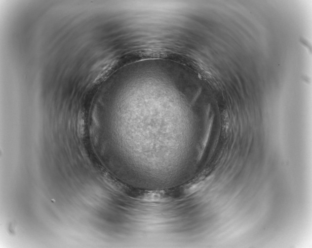 X0000093410080200711021003