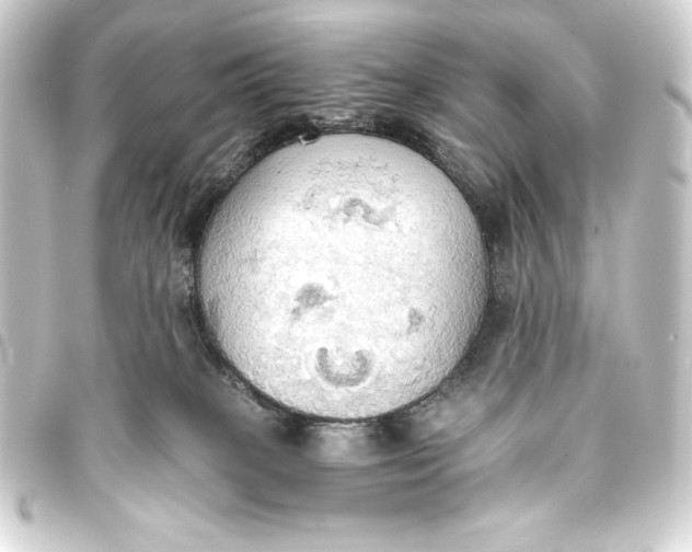 X0000093410085200711021003