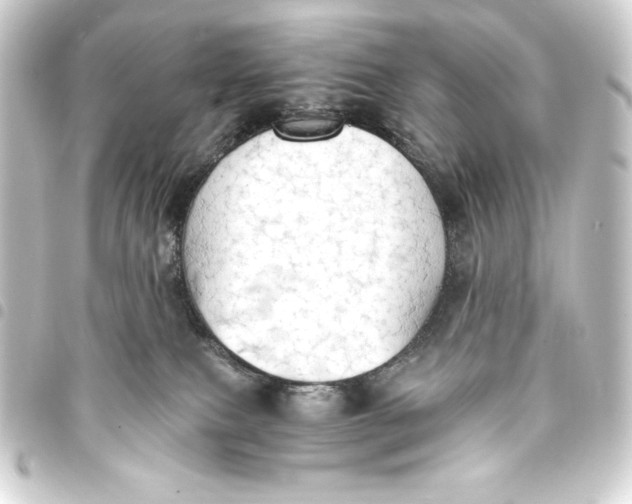 X0000093410087200711021003