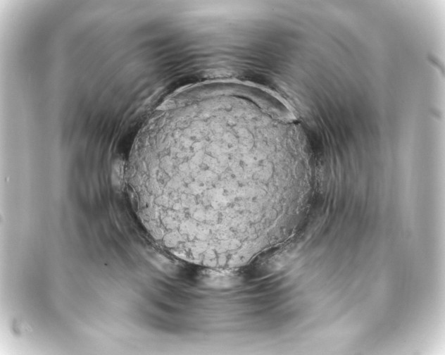 X0000093410093200711021003