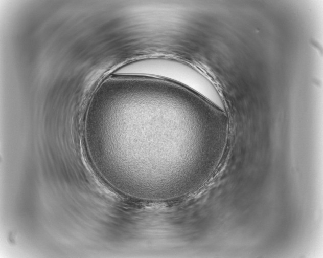 X0000093410097200711021003