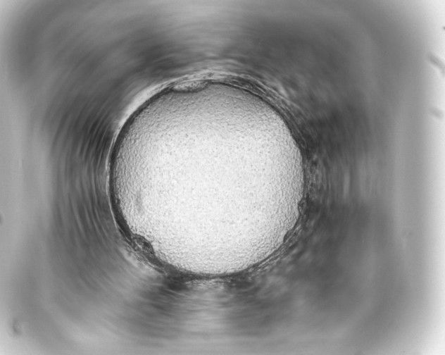 X0000093410100200711021003