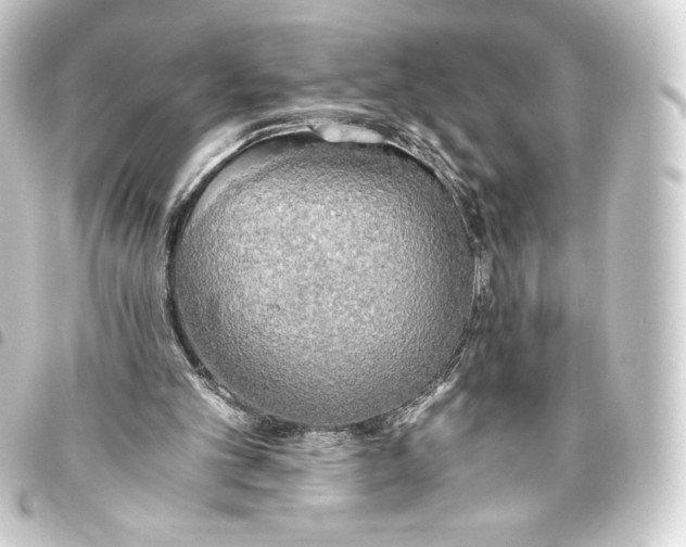 X0000093410101200711021003