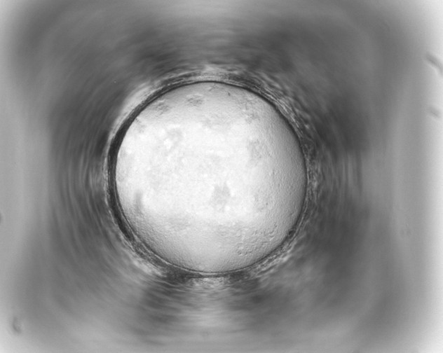 X0000093410102200711021003