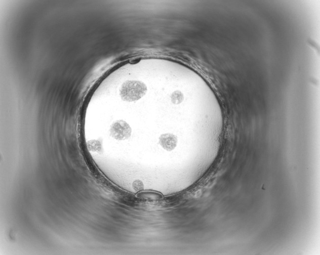 X0000093410103200711021003