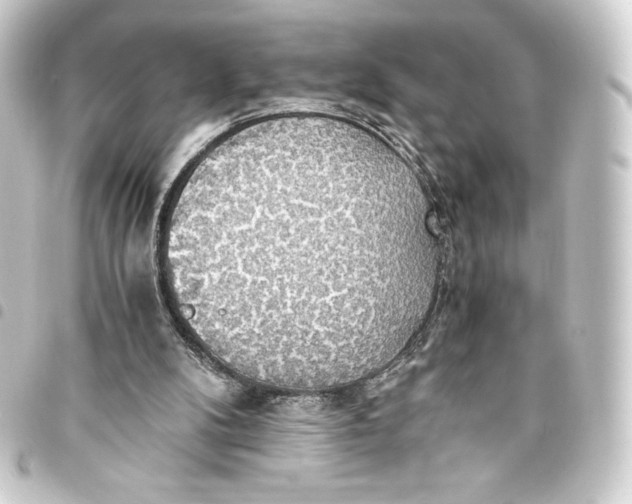 X0000093410104200711021003