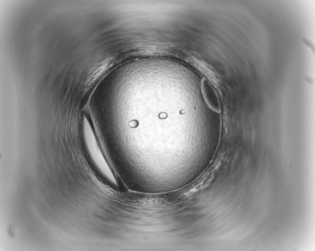 X0000093410105200711021003