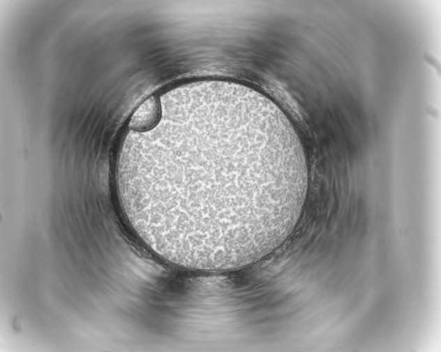 X0000093410108200711021003