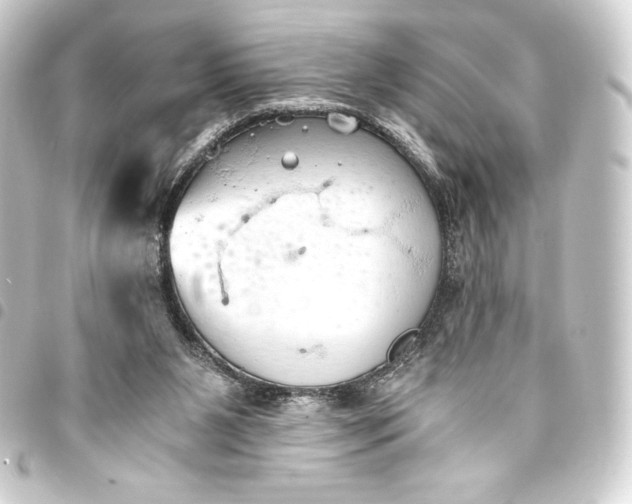 X0000093410111200711021003