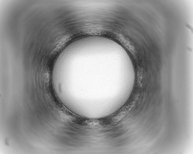 X0000093410113200711021003