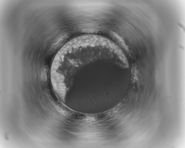 X0000093410114200711021003