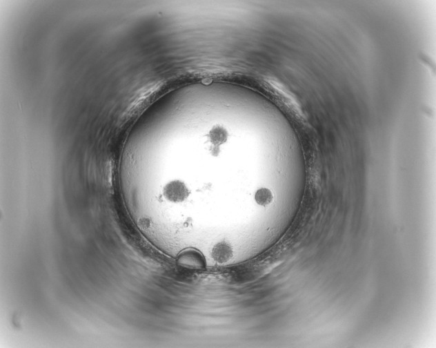 X0000093410115200711021003