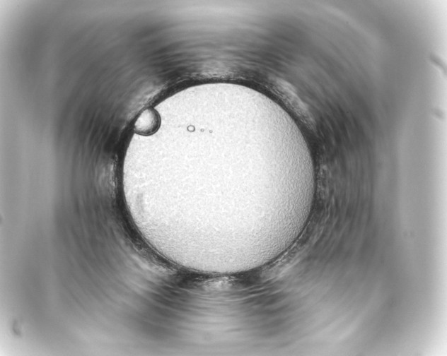 X0000093410116200711021003