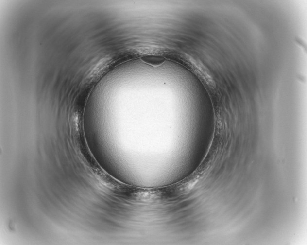 X0000093410117200711021003