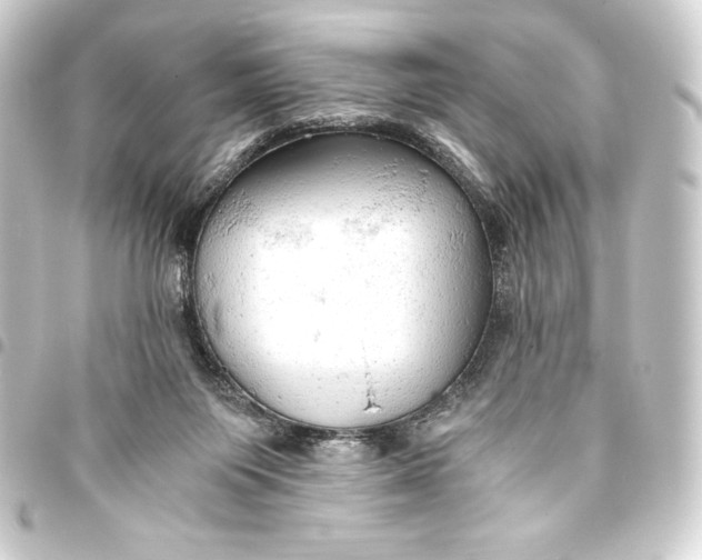 X0000093410119200711021003