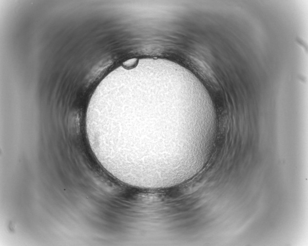 X0000093410120200711021003