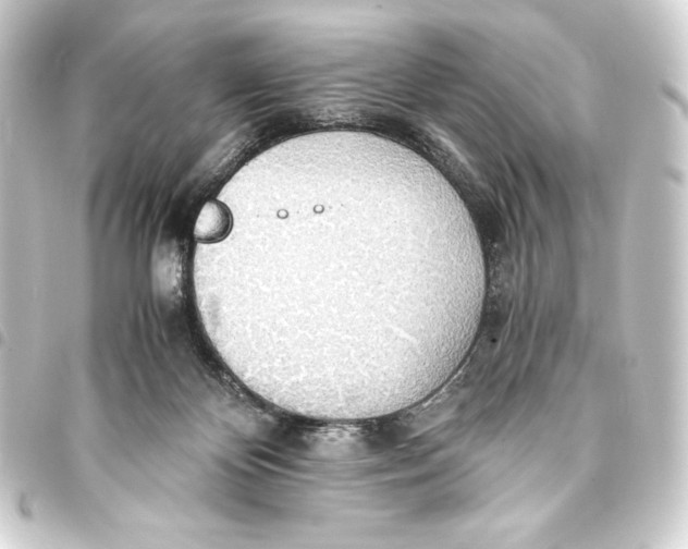 X0000093410124200711021003