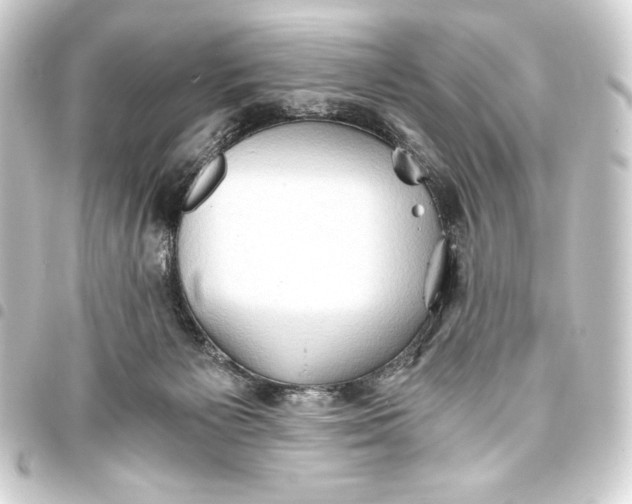 X0000093410125200711021003