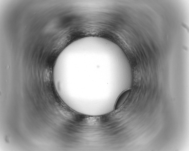 X0000093410126200711021003