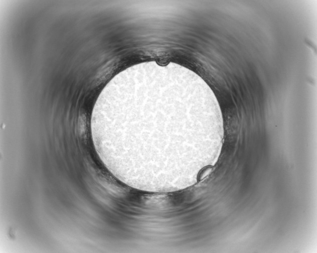 X0000093410132200711021003