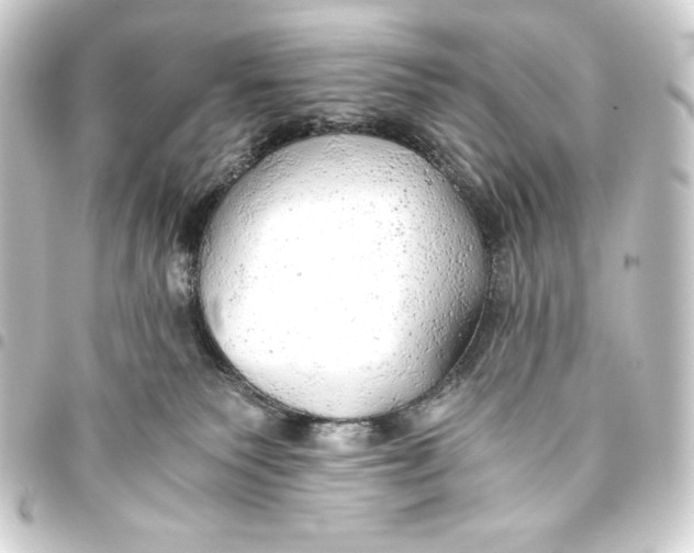 X0000093410135200711021003