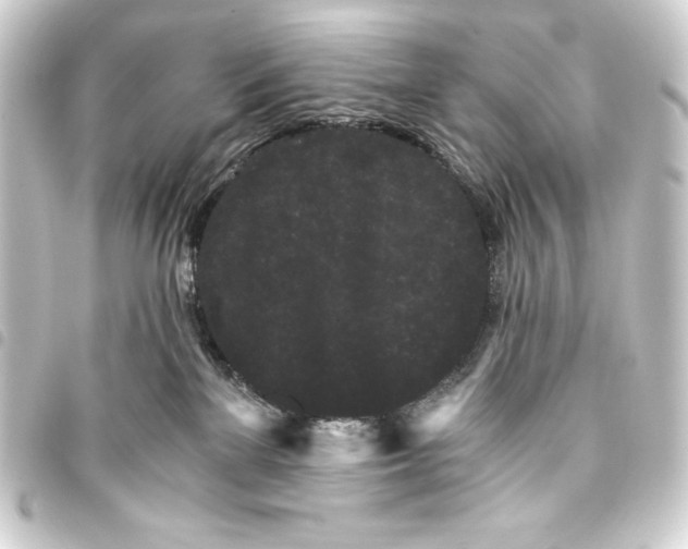 X0000093410137200711021002