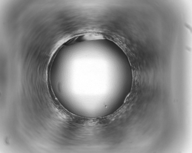 X0000093410148200711021002