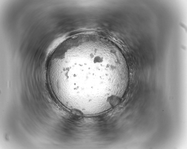 X0000093410149200711021002