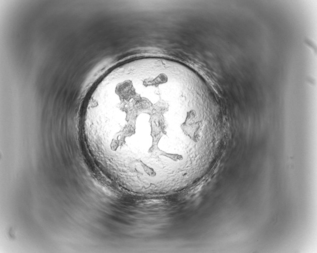 X0000093410151200711021002