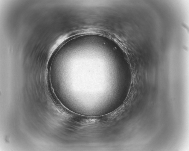 X0000093410152200711021002