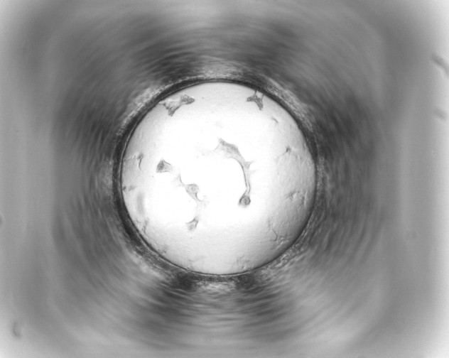 X0000093410155200711021002