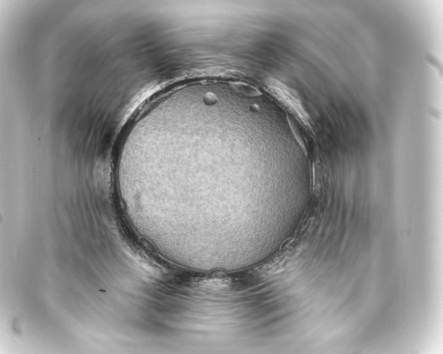 X0000093410156200711021002