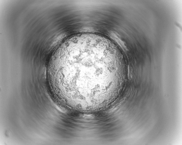 X0000093410157200711021002