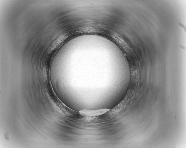 X0000093410158200711021002