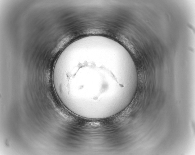 X0000093410159200711021002